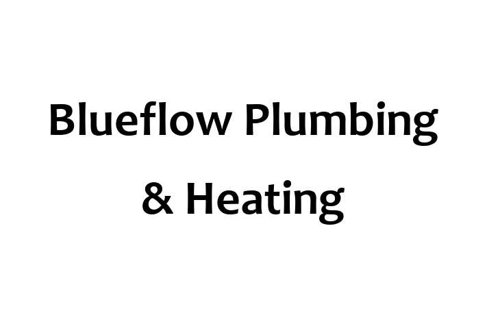 Blueflow Plumbing & Heating