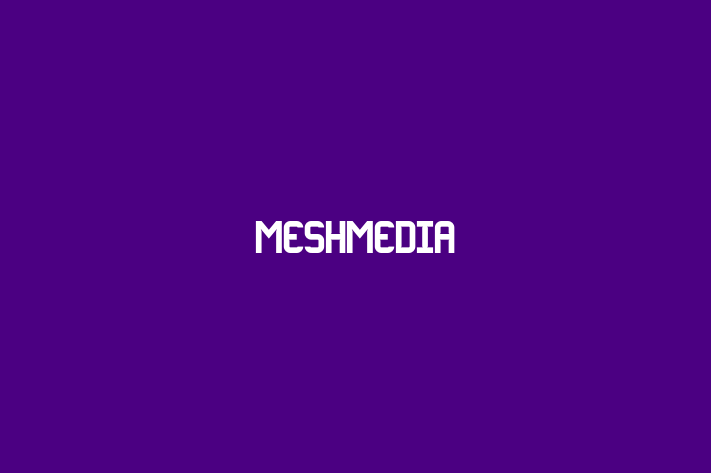 MESHMEDIA