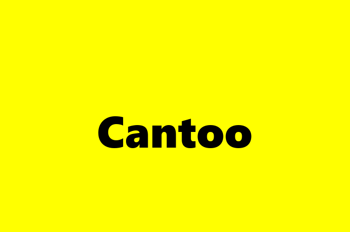 Cantoo