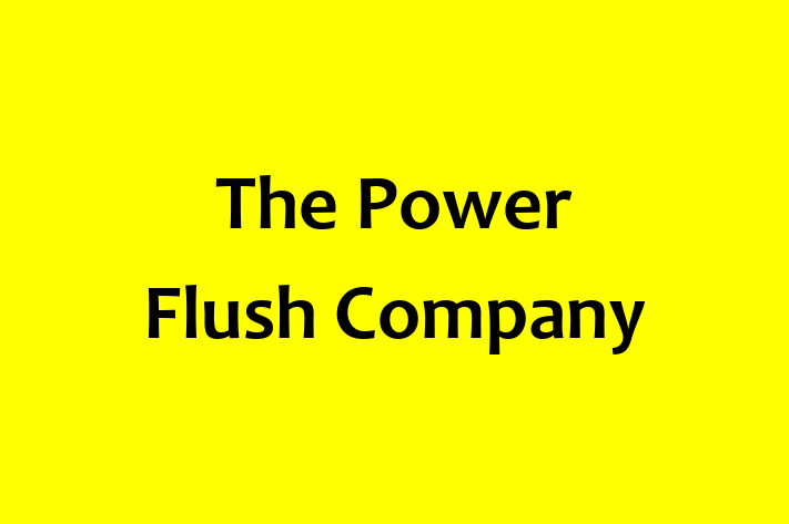 The Power Flush Company