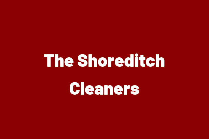 The Shoreditch Cleaners