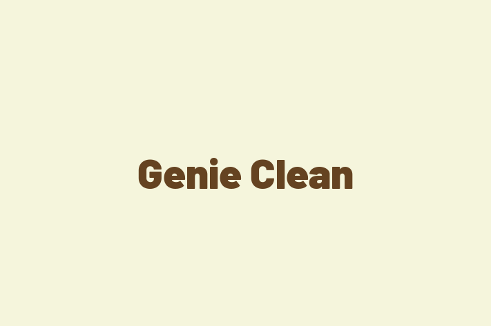 Genie Clean