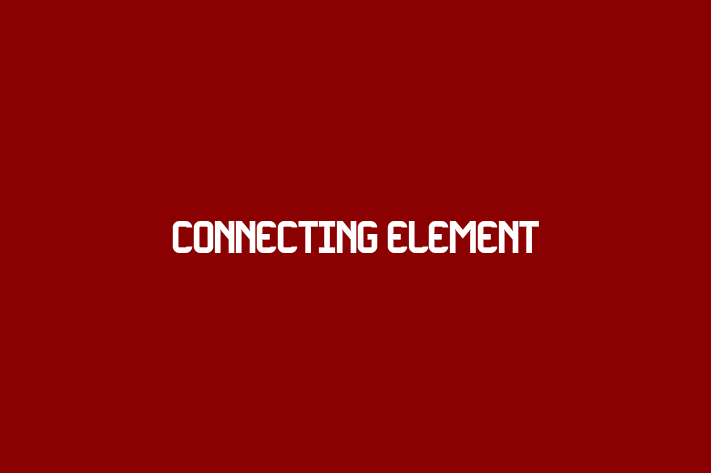 Connecting Element