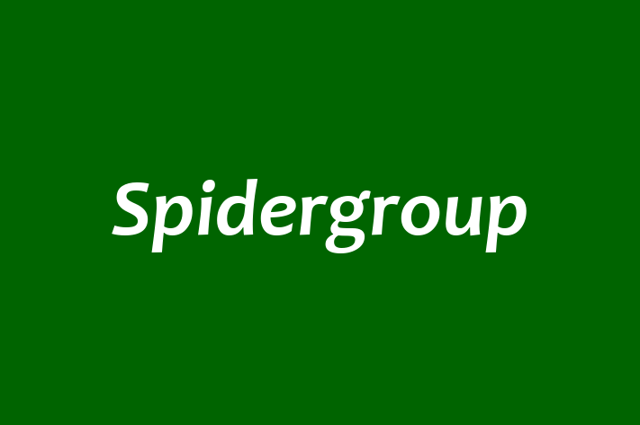 Spidergroup