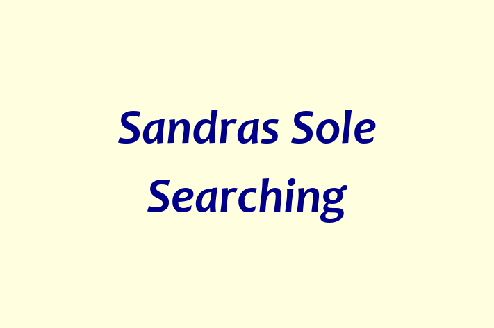 Sandras Sole Searching