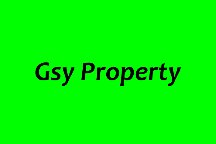 Gsy Property