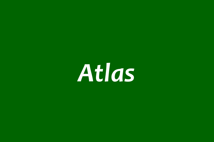 Atlas