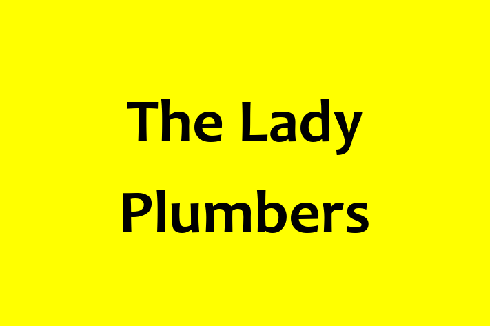 The Lady Plumbers