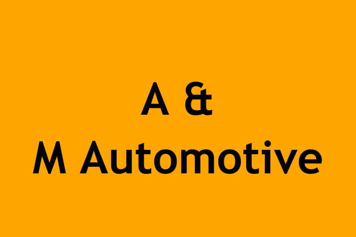 A & M Automotive