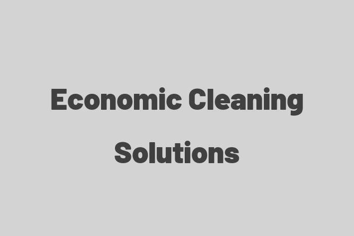 Economic Cleaning Solutions