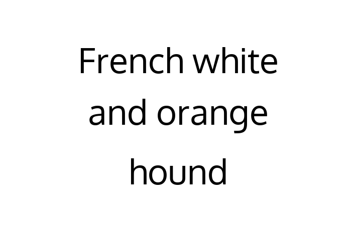 Find Your New French white and orange hound Dog in Burton upon Trent