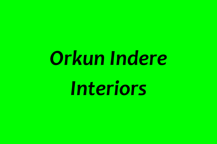 Orkun Indere Interiors