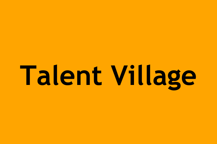 Talent Village