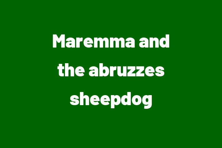 Adopt a Beautiful Maremma and the abruzzes sheepdog Dog in York