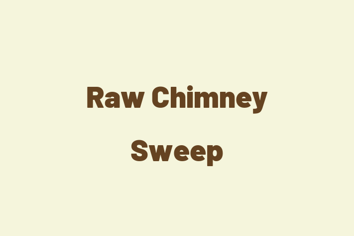 Raw Chimney Sweep