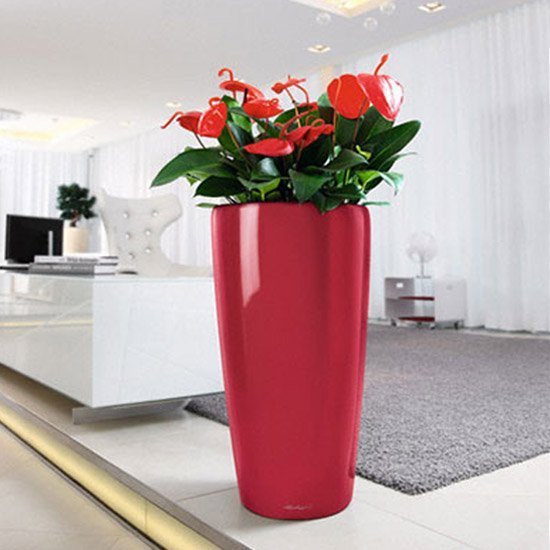 Office Planters Ltd