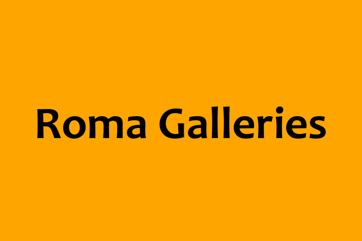 Roma Galleries