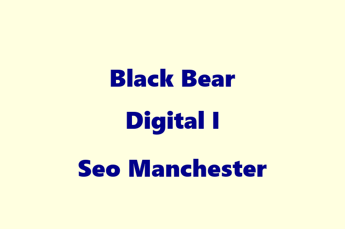 Black Bear Digital I Seo Manchester