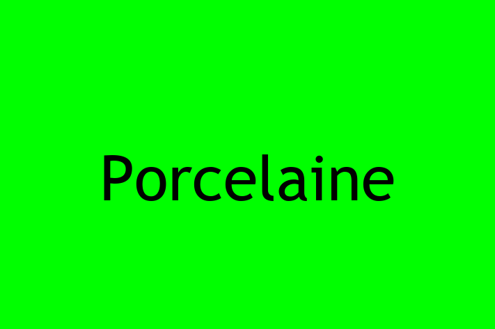 Porcelaine for Sale in Grimsby