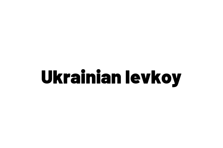 Ukrainian levkoy Cat for Sale in Inverness