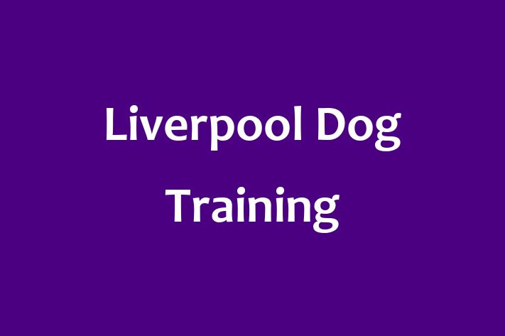 Liverpool Dog Training