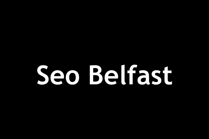 Seo Belfast