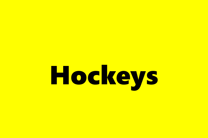 Hockeys