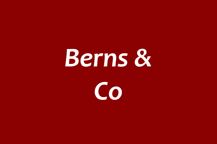 Berns & Co