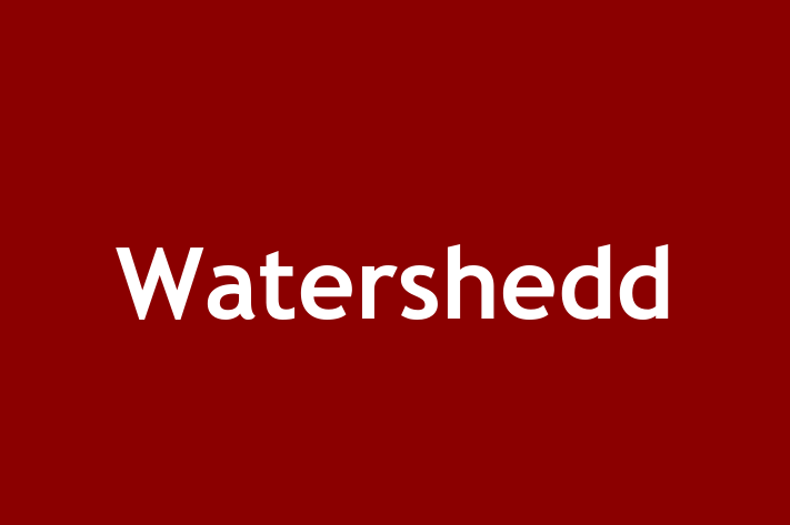 Watershedd