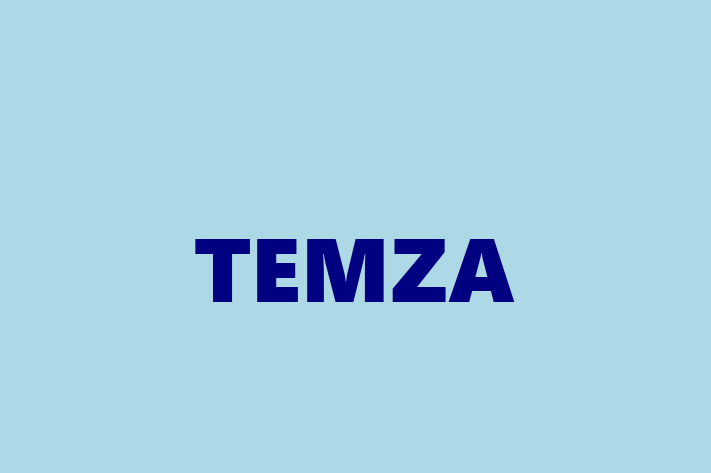 TEMZA