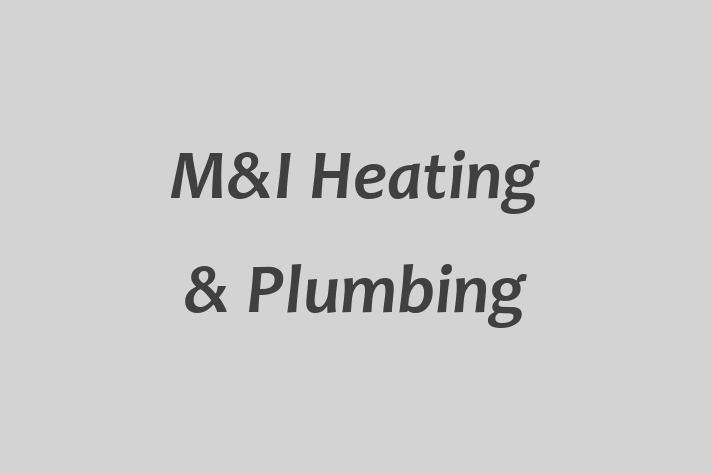 M&I Heating & Plumbing