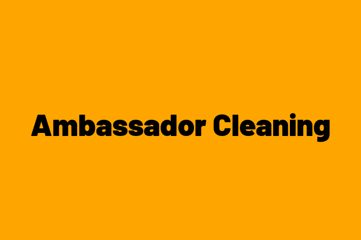 Ambassador Cleaning