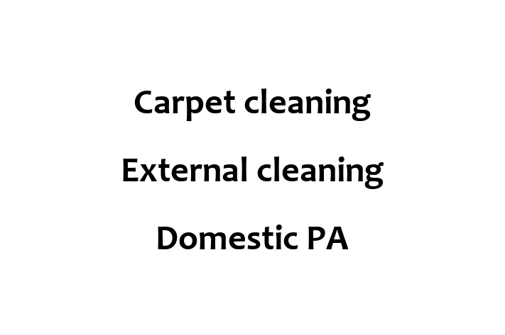 Carpet cleaning External cleaning Domestic PA