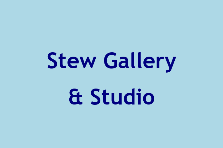 Stew Gallery & Studio