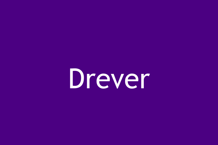 Drever Dog for Sale in Didcot