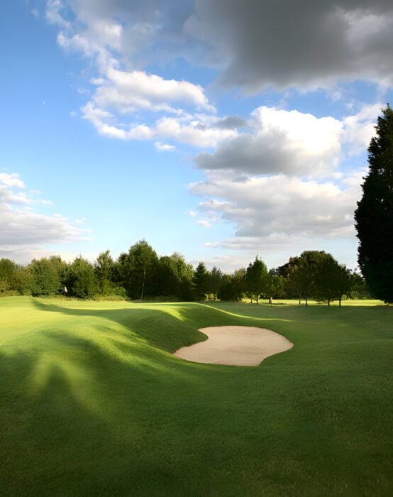 Woodcote Park Golf Club 