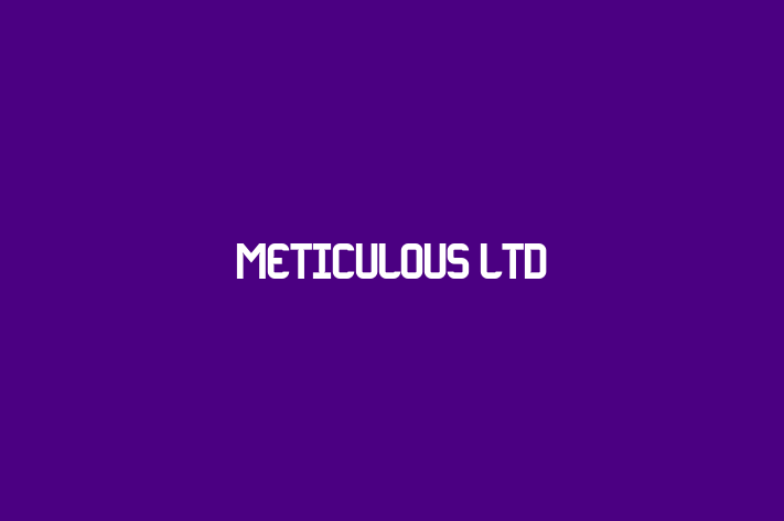 Meticulous Ltd