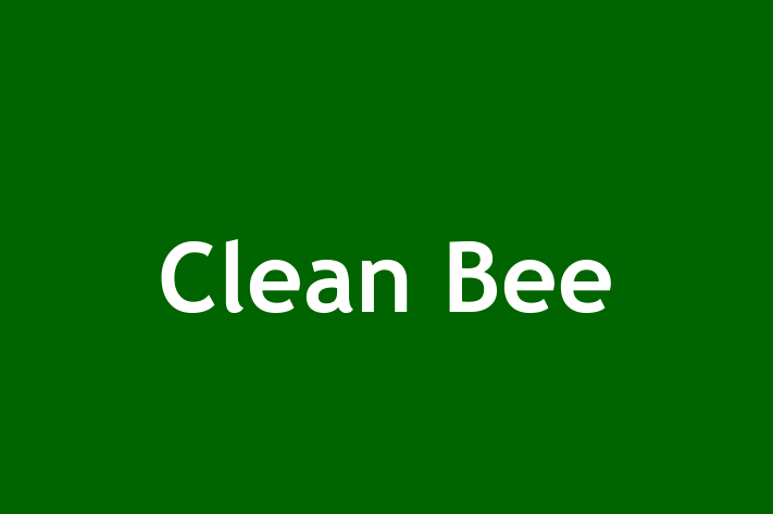 Clean Bee