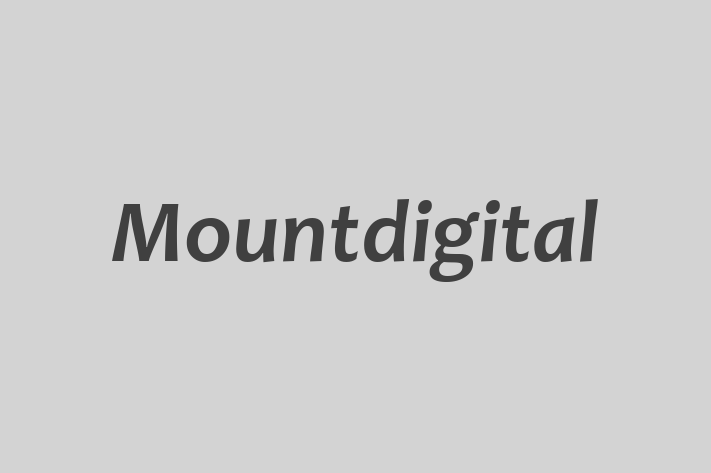 Mountdigital