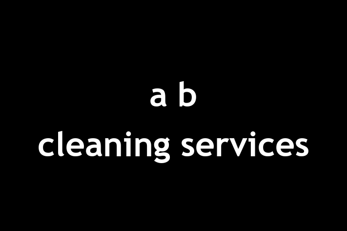 a b cleaning services