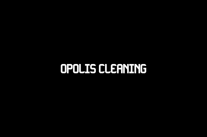 Opolis Cleaning