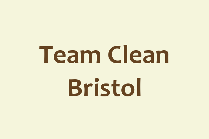 Team Clean Bristol