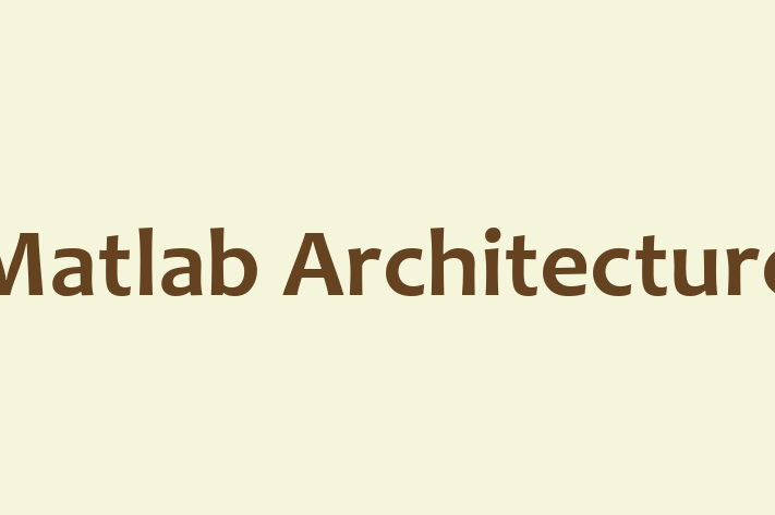 Matlab Architecture