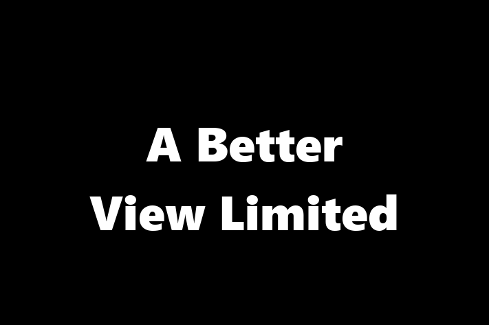 A Better View Limited