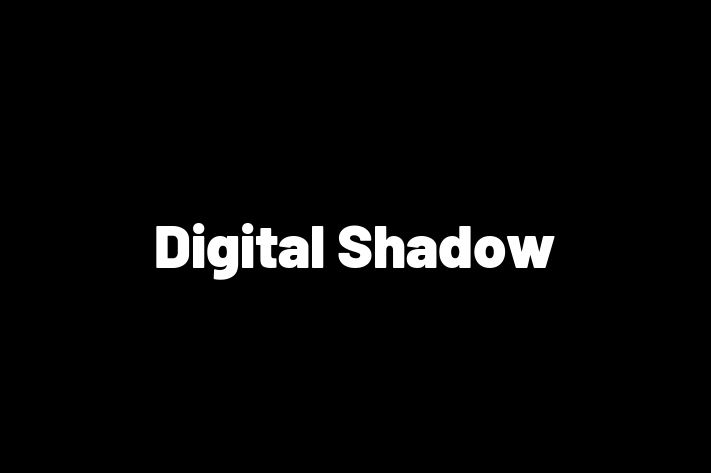 Digital Shadow