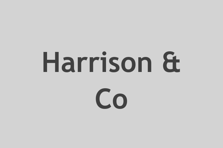 Harrison & Co