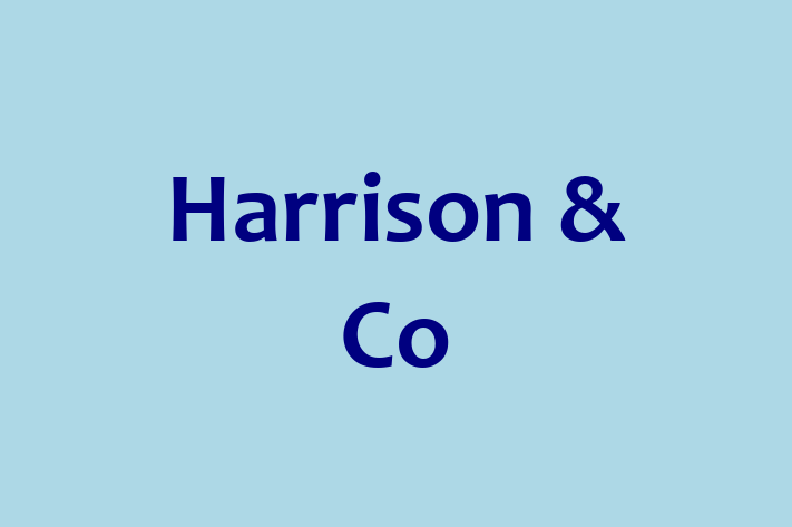 Harrison & Co