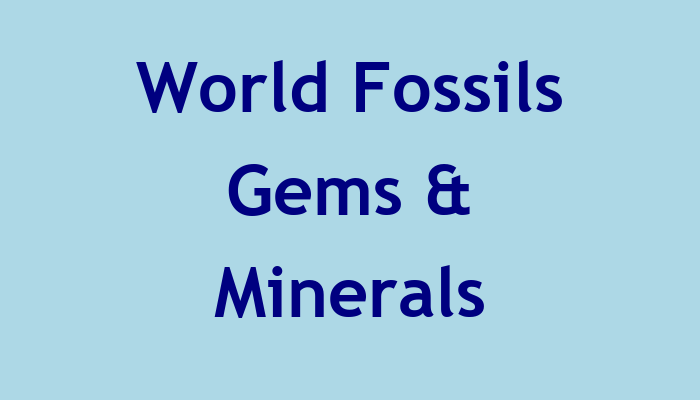 World Fossils Gems & Minerals