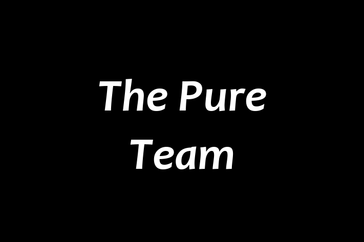 The Pure Team