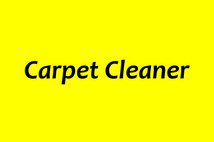 Carpet Cleaner